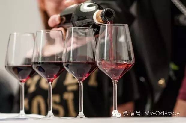 阿尔巴松露美食活动