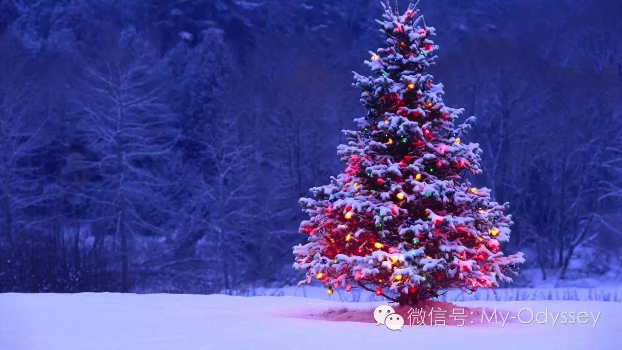 白色欧洲，红色圣诞之旅