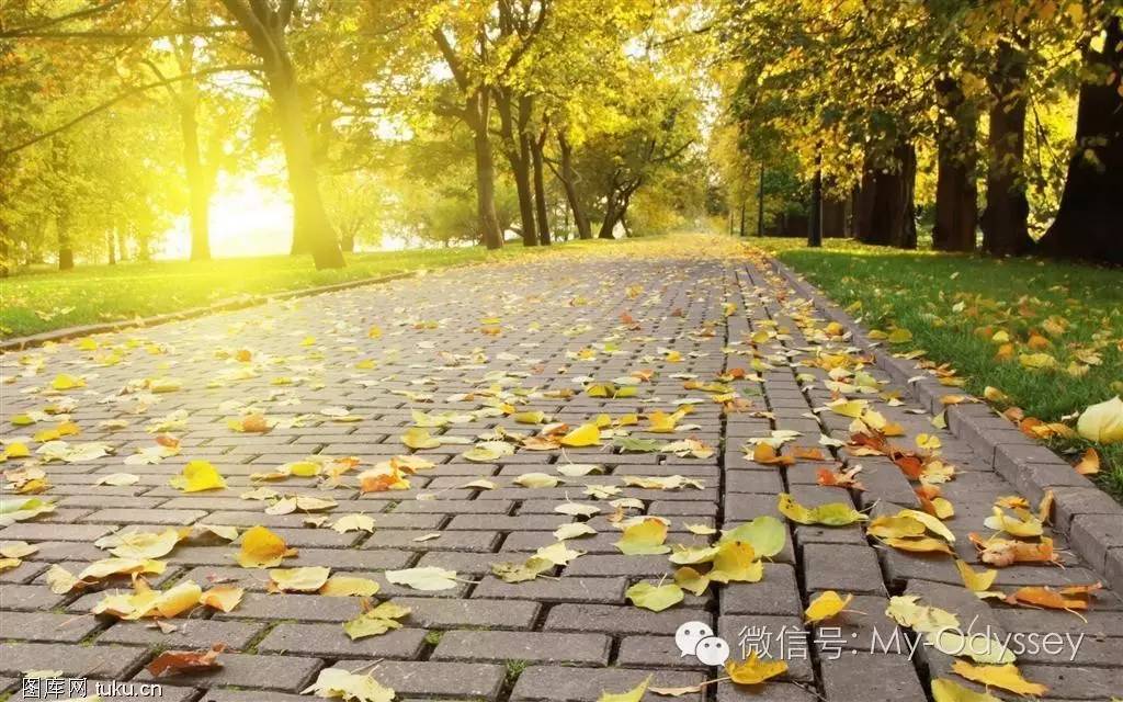 2017新年意大利瑞士之旅